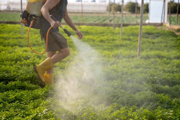Best Affordable Pest Control Services  in Kahoka, MO