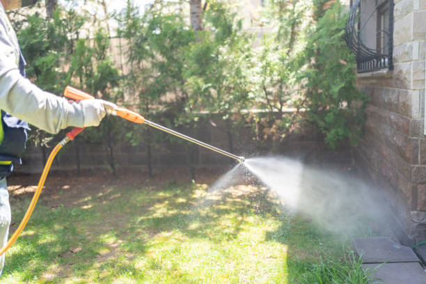 Best Best Pest Control Companies  in Kahoka, MO