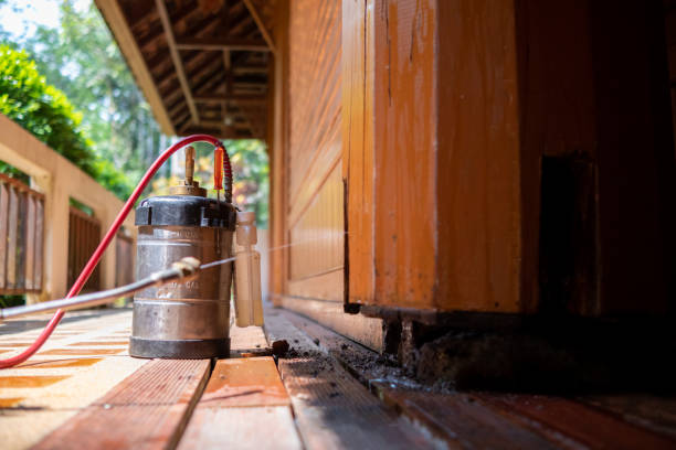 Best Cockroach Control Services  in Kahoka, MO