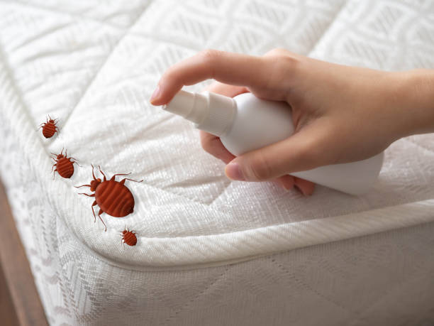 Best Best Pest Control Companies  in Kahoka, MO